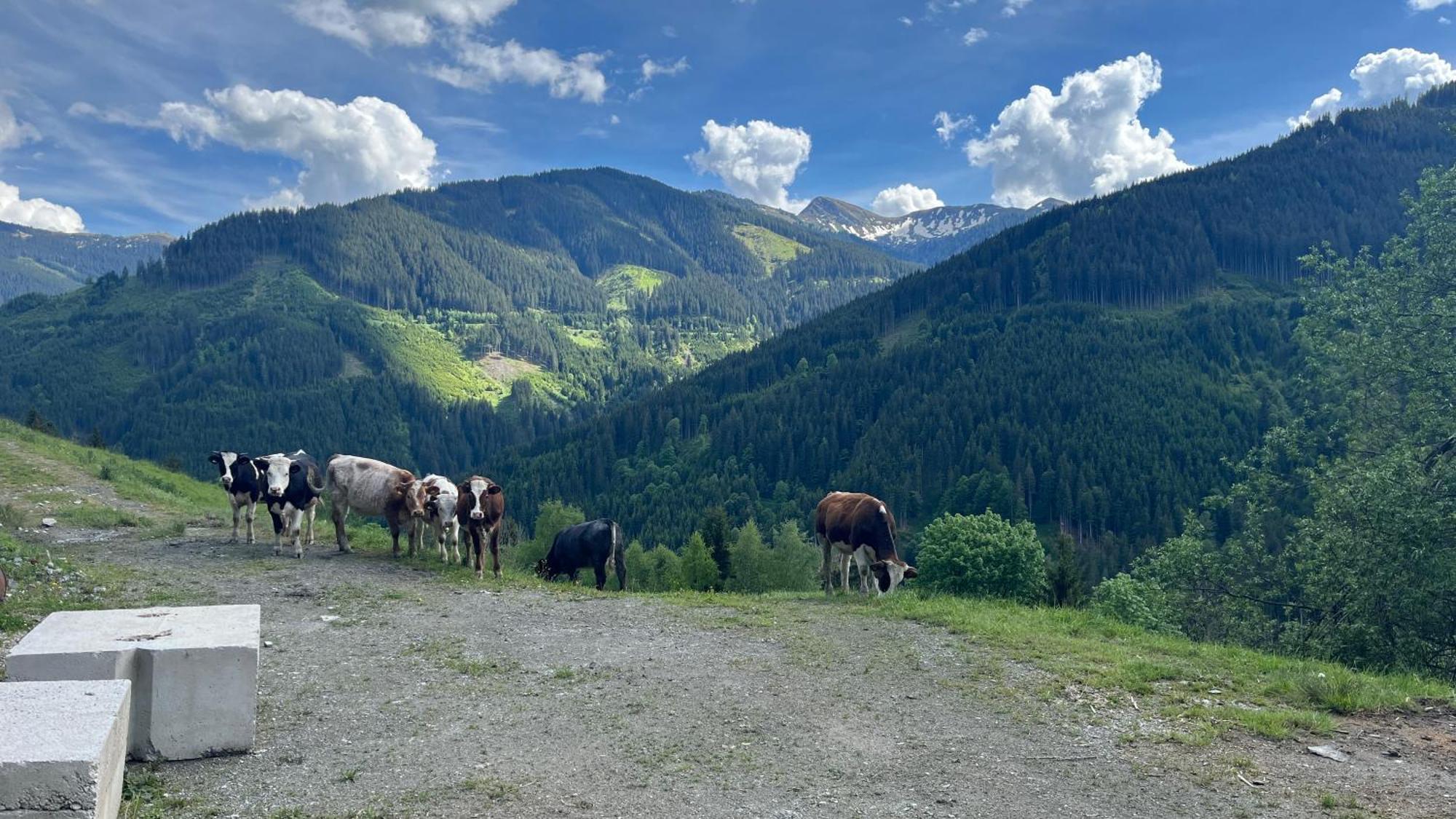 Landhaus Oberzinnegg Saalbach Exterior foto